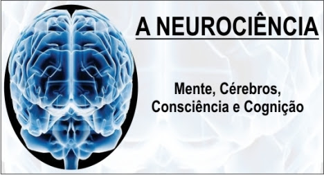 neurociencia2