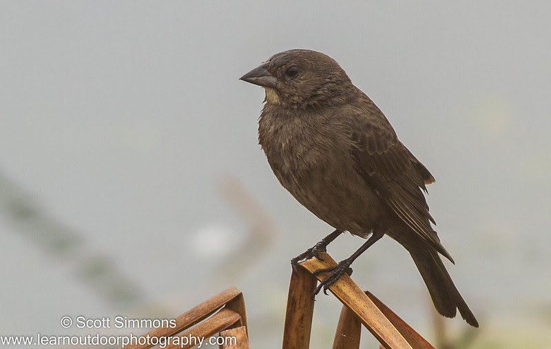 Photo & Video Sharing by SmugMug Photo & Video Sharing by SmugMug