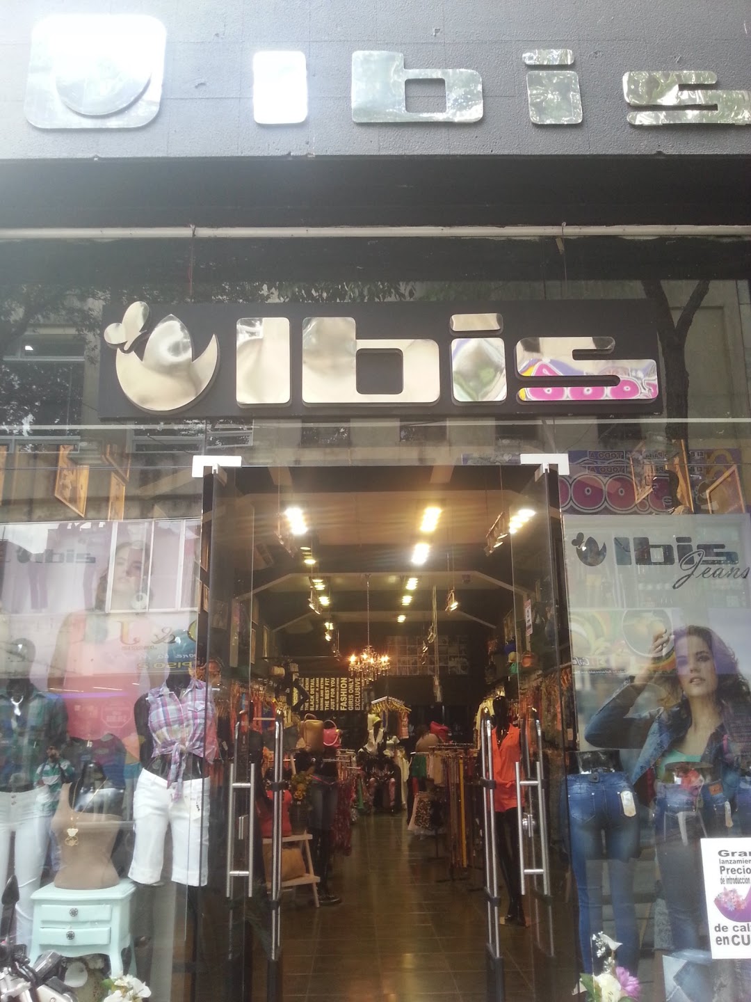 Ibis