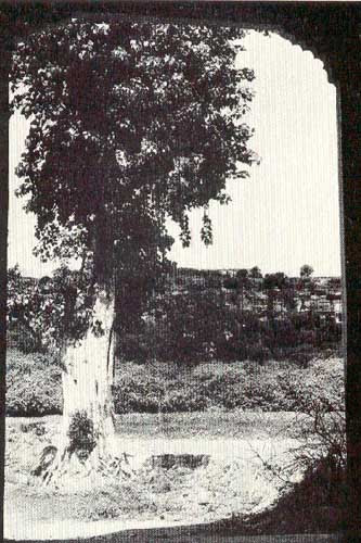 Cremation Place of Rani Lakshmi Bai