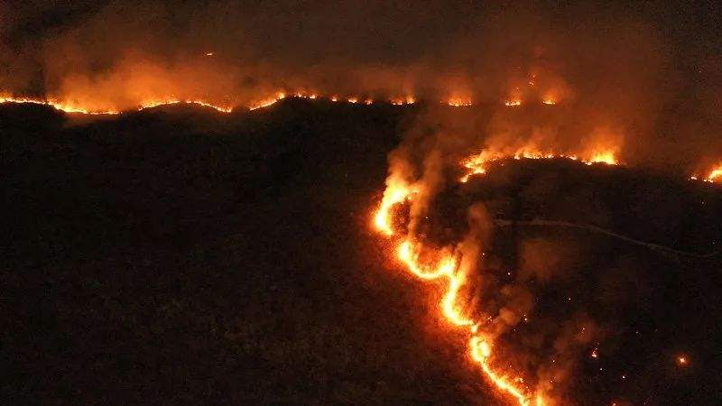 Resultado de imagem para incendios amazonia