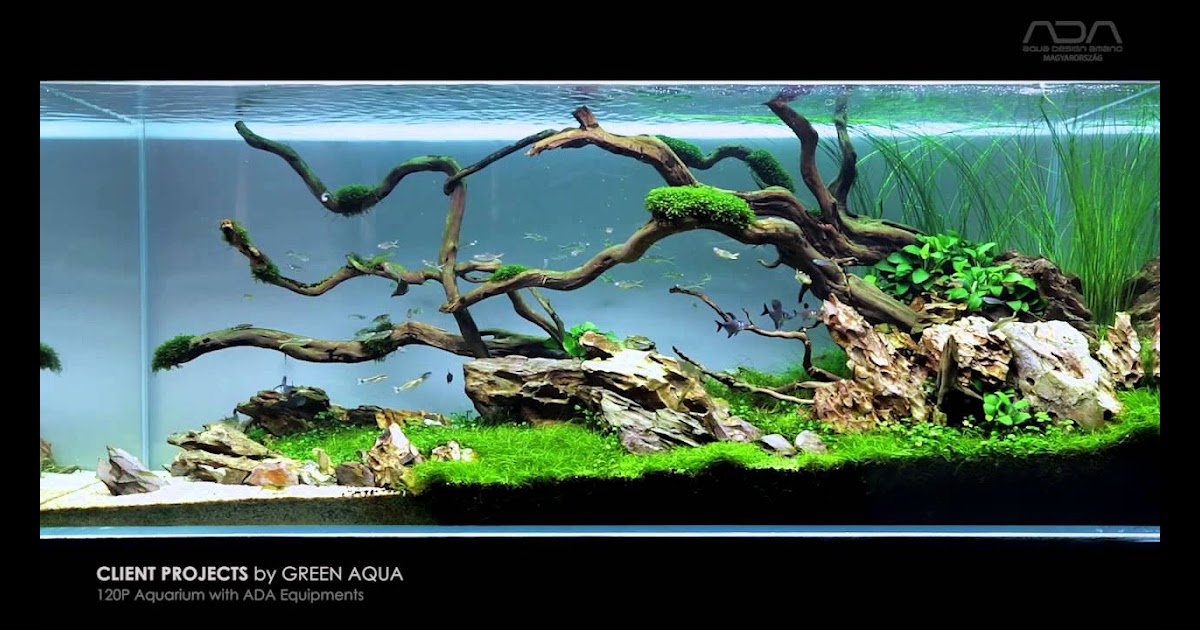 Aqua Green - Aqua Green Wallpaper (68+ images) - alwayswearajacket