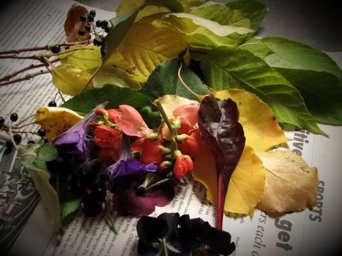 Natural dye materials