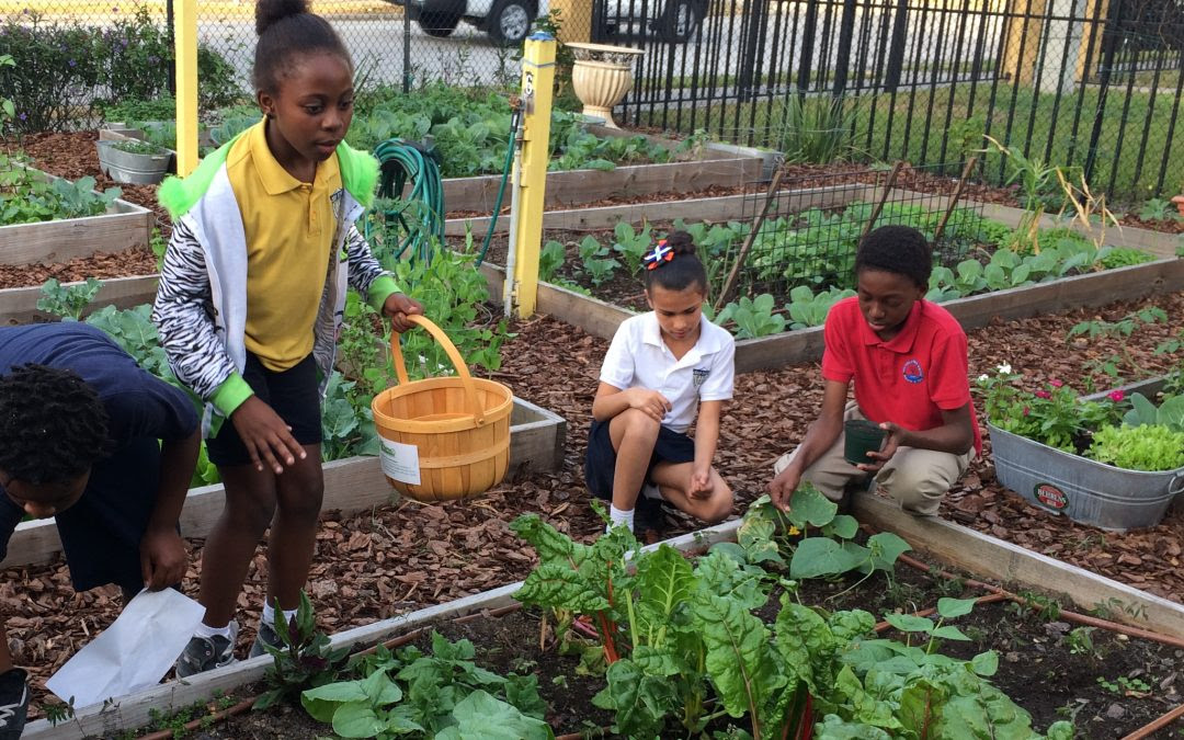 Diy Backyard Gardening Ideas For Kids Miss Smarty Plants