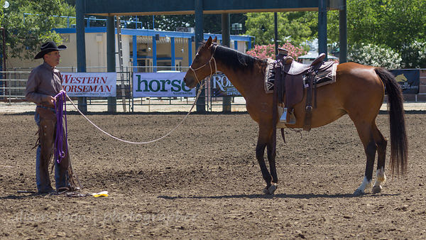 Richard Winters clinic at the Western States Horse Expo 2016