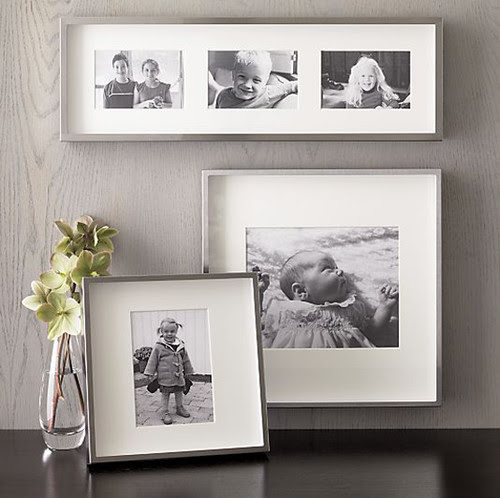 Brushed Silver Wall Frames contemporary frames