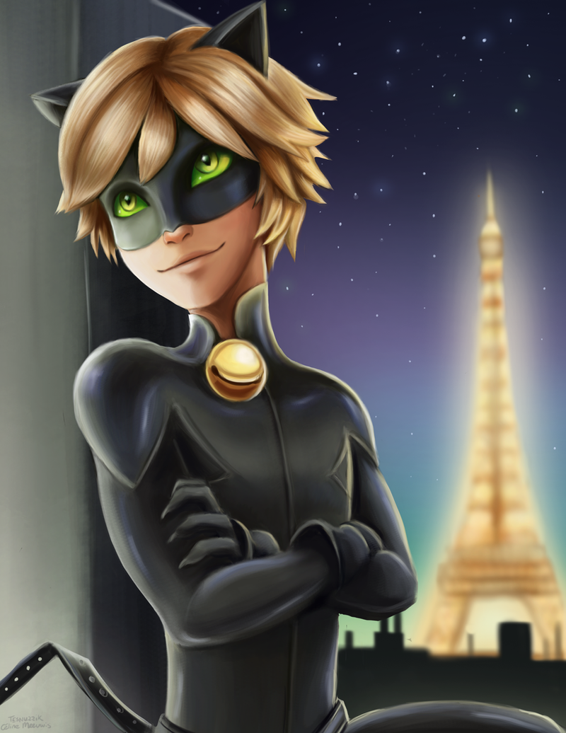 Anime Chat Noir Fanart - fanart 2020