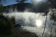 NZ 177