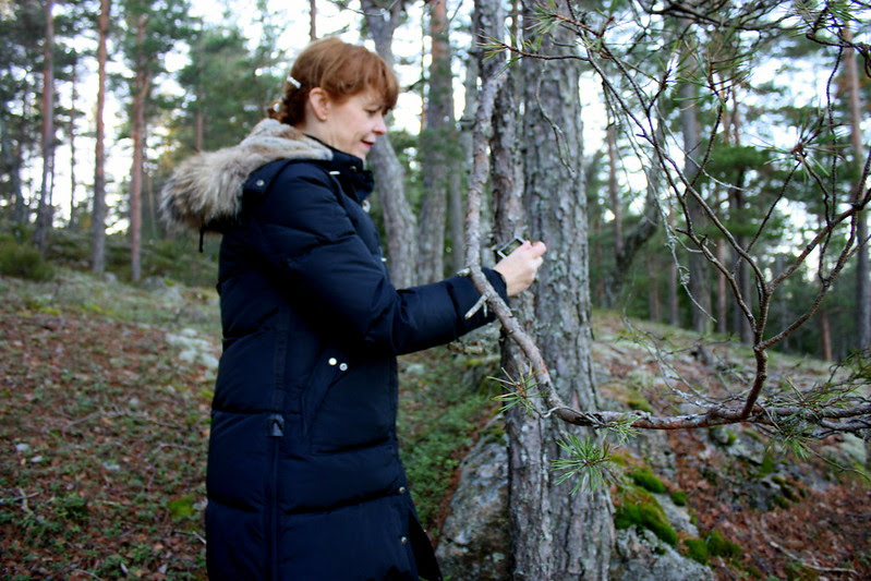 Hulda og mosamyndatakan