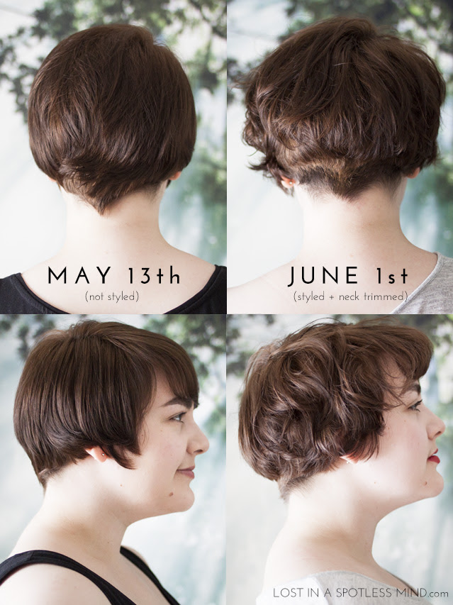 Short Haircut Growing Out