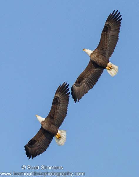 Photo & Video Sharing by SmugMug Photo & Video Sharing by SmugMug