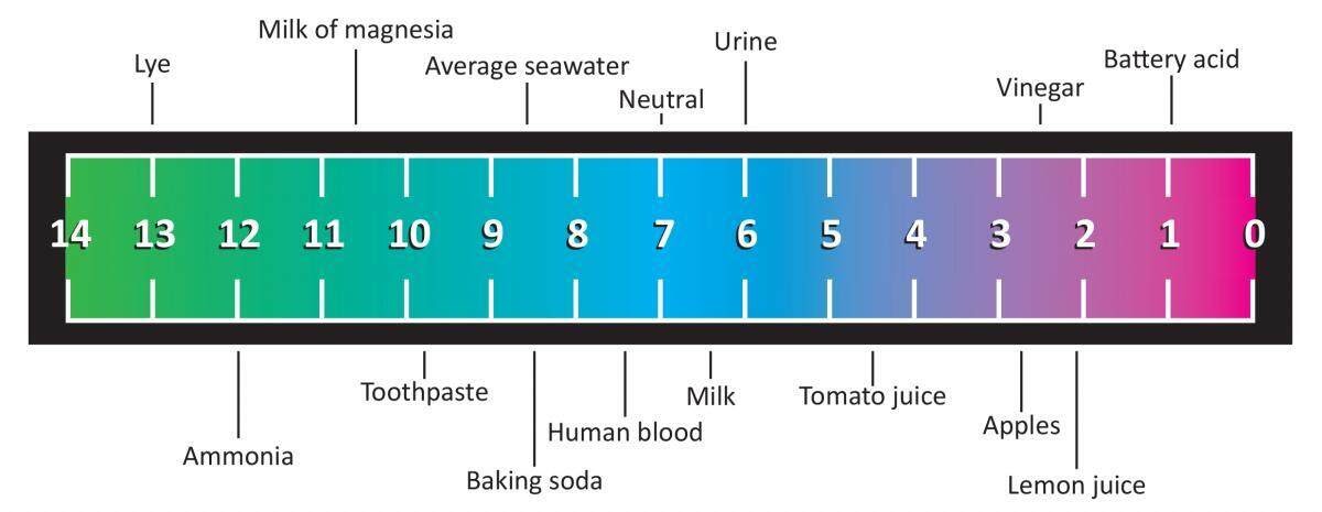 is ph = 7 an acid a base or neutral