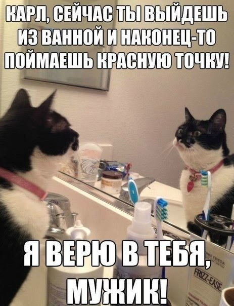 Funny Pictures (128 photos) Funny Pictures (128 photos)