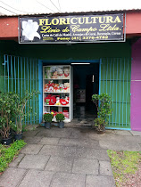Floricultura Lírio do Campo