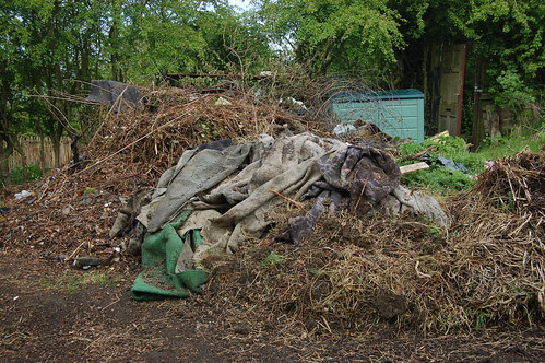 cleared allotment May 10 2