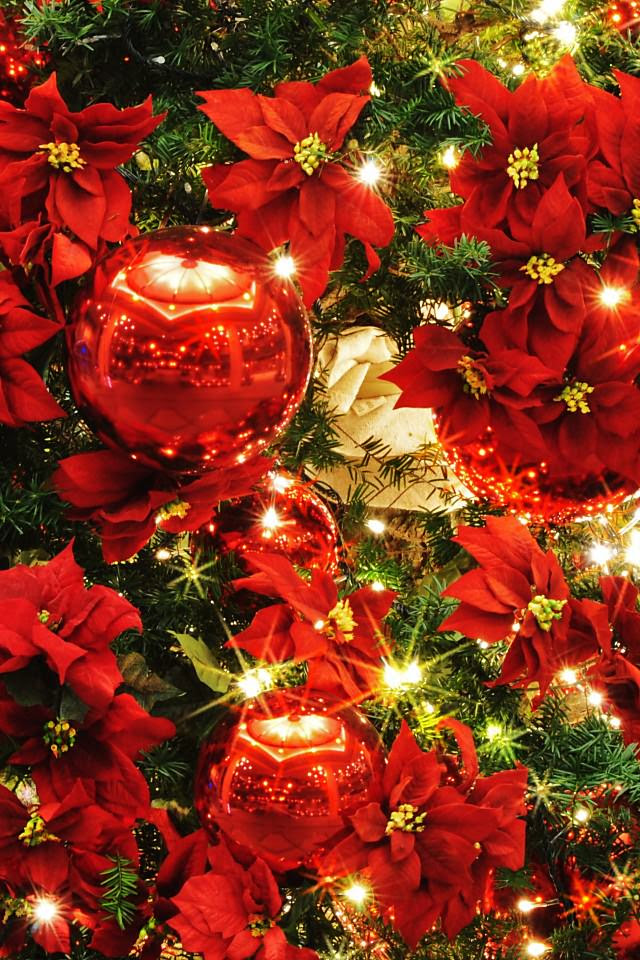 綺麗なクリスマス イルミネーション 壁紙 Iphone 花の画像