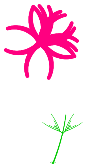 Your animation