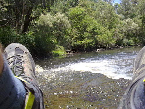Chilling by the Creek #1