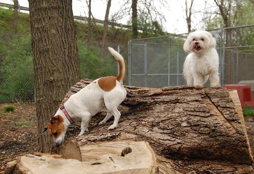 Exploring Together