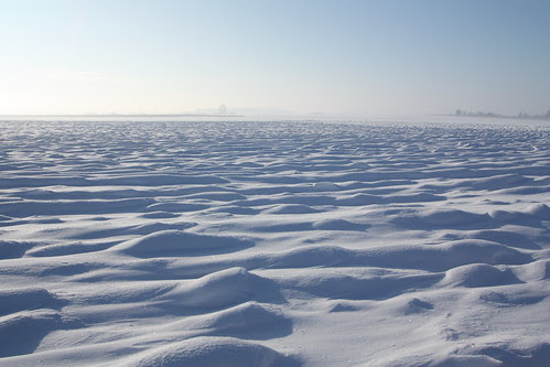 A sea of snow