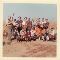Pheasant Hunting, San Joaquin valley