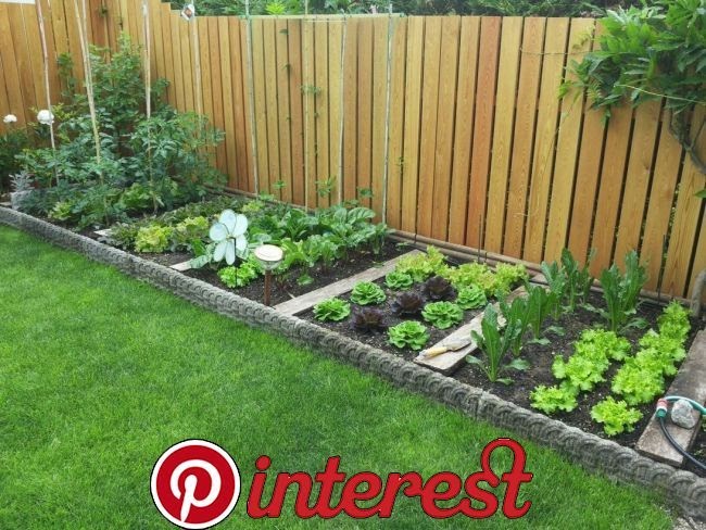Backyard Vegetable Garden Ideas Pinterest - Patio Area Ideas