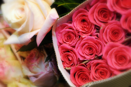 serenata-flowers