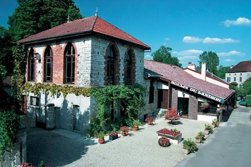 Moulin du Landion à Dolancourt