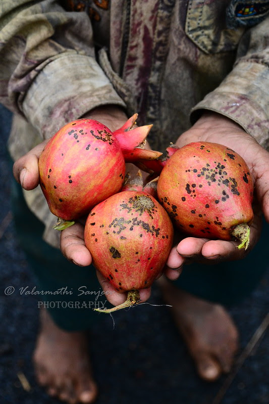 Pomegranates