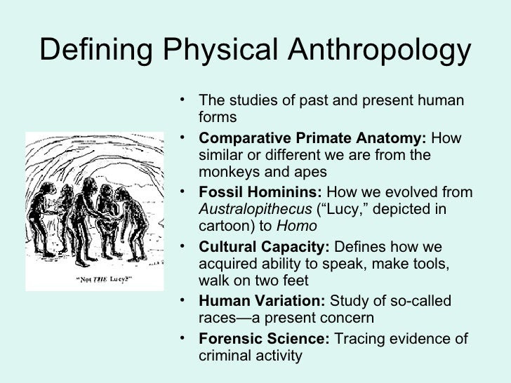 topics for physical anthropology research paper