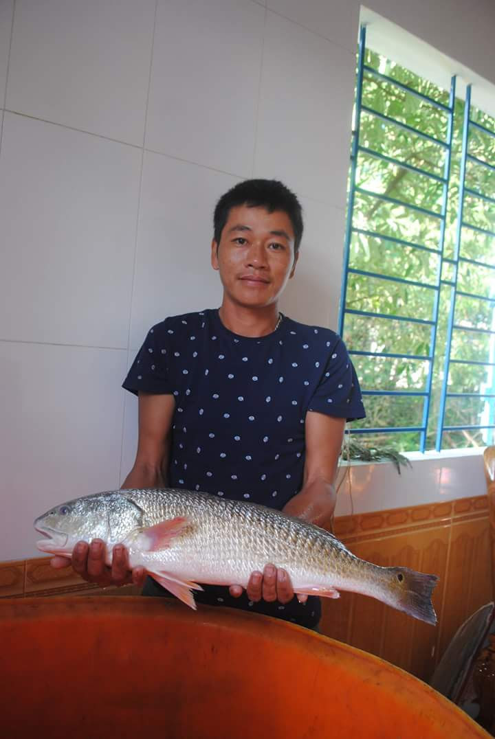 Cận cảnh cá Sủ vàng tiền tỷ ở Quảng Bình - ảnh 3 Hình ảnh Cận cảnh cá Sủ vàng tiền tỷ ở Quảng Bình số 3