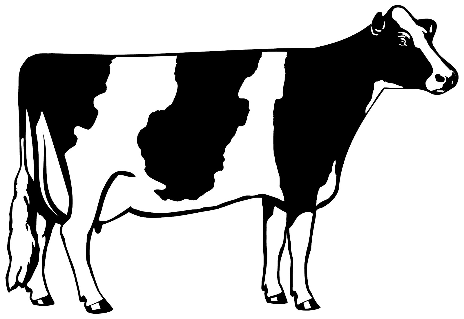 black-and-white-cow-coloring-pages