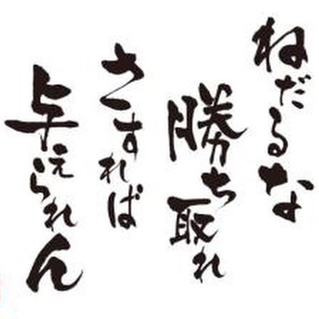 ねだるな勝ち取れさすれば与えられん 壁紙 猫 壁紙 Pc あなたのための最高の壁紙画像