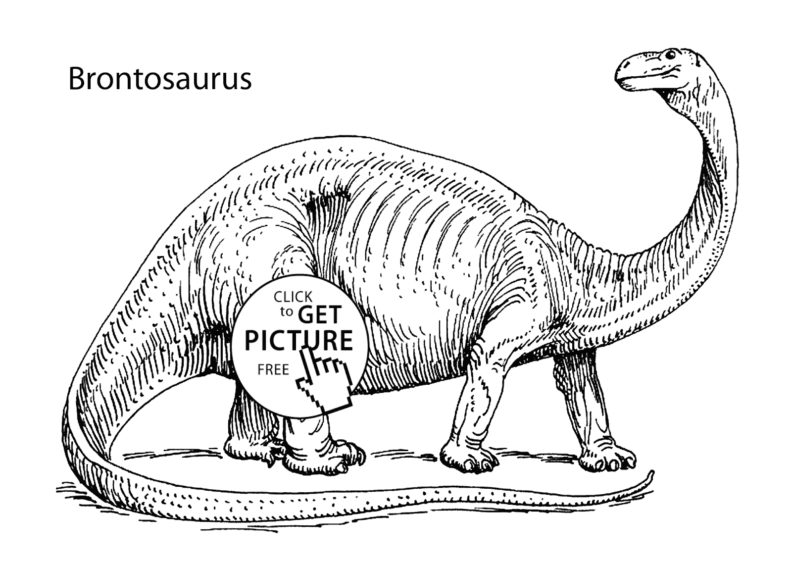 apatosaurus coloring page