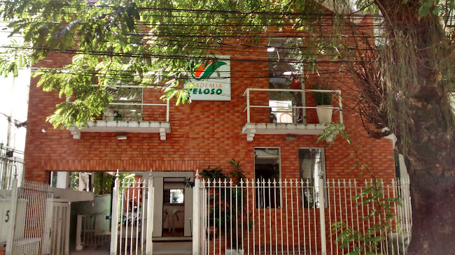 Academia Veloso