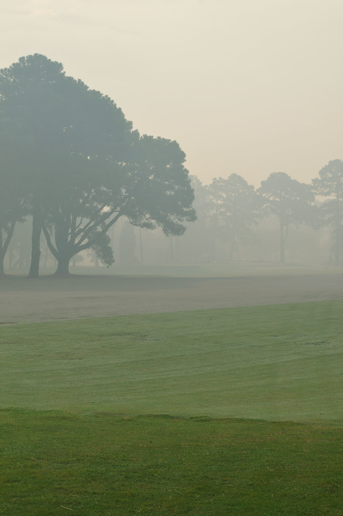 Swamp Smoke