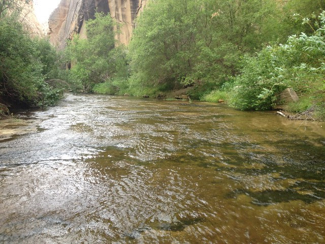 Death Hollow