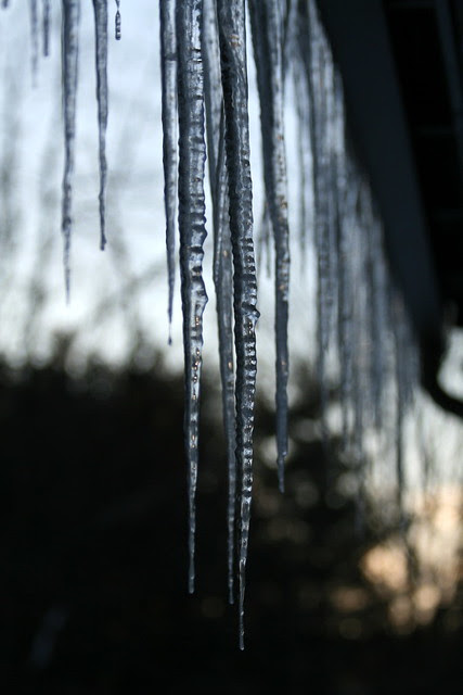 Icicles hanging at sunset
