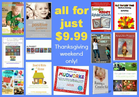 thanksgiving weekend special offers Thanksgiving weekend special offer