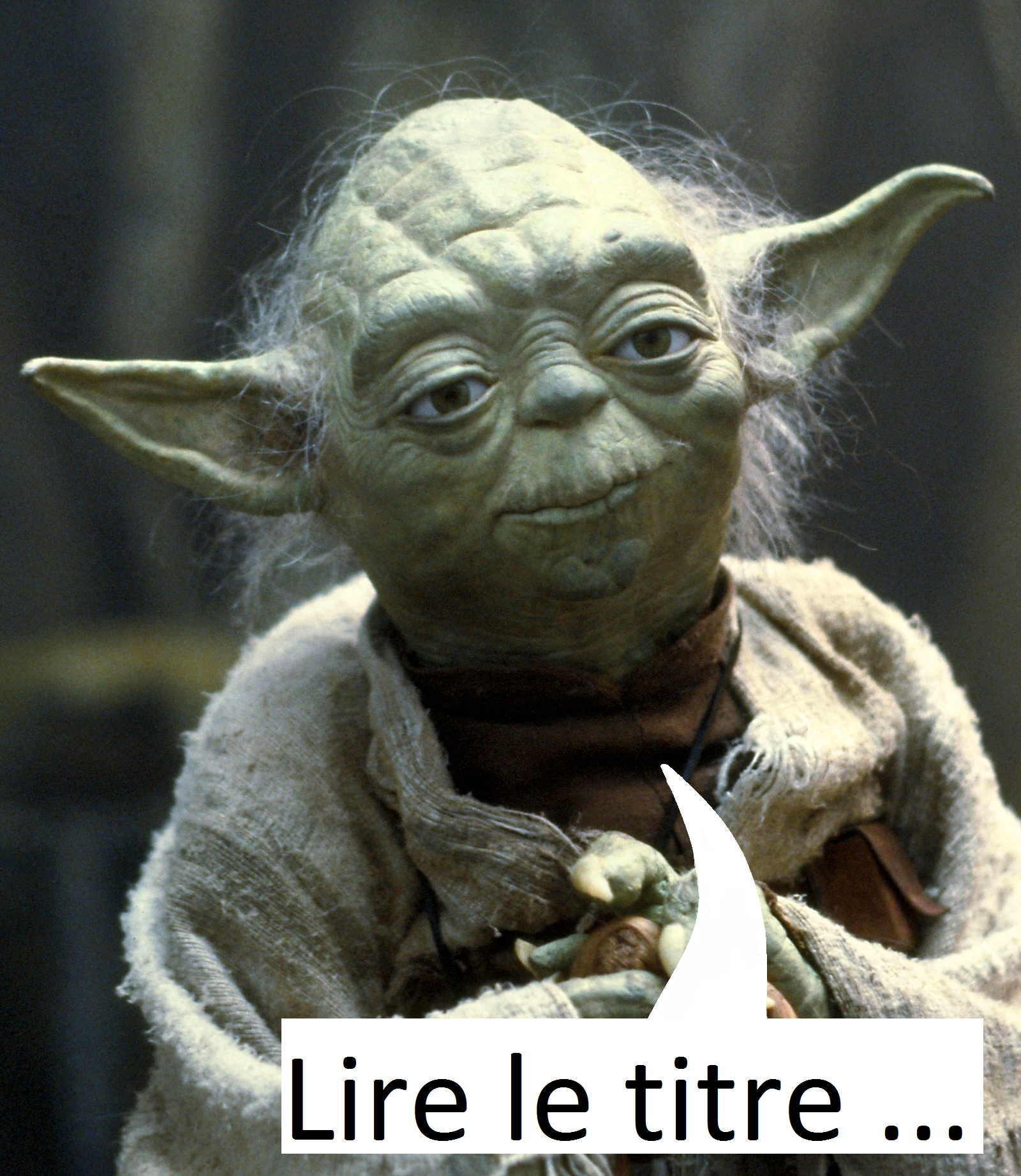 Yoda Citation Drole