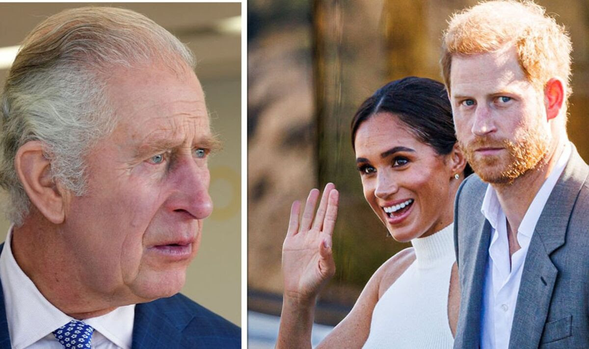 Prince Harry and Meghan's Netflix docuseries included in King's 'too difficult' folder