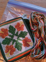 Thrift find - needlepoint