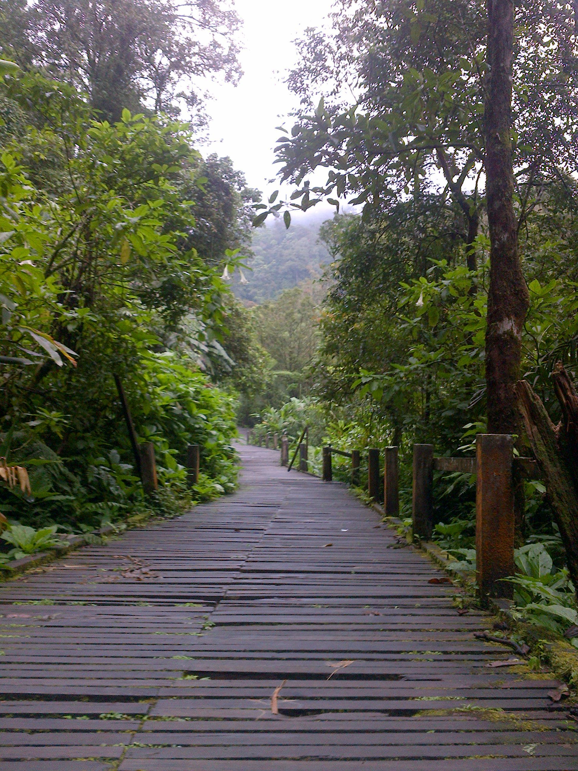 Ayo Liburan ke Kawasan Taman Gunung Gede Pangrango Bogor