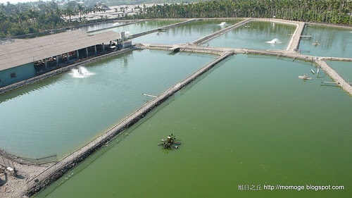 P1160692