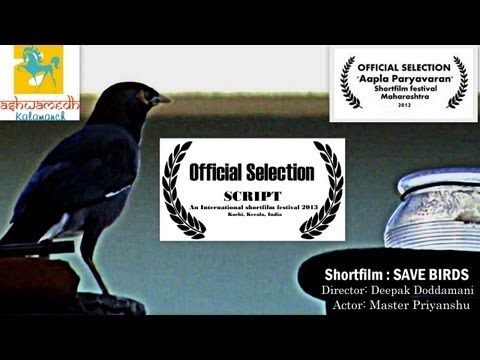 The Making Of Save Birds 