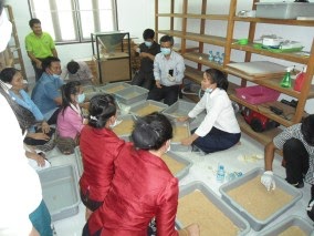 staff training at Trichogramma rearing facility in Laos