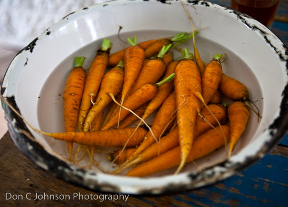 TripPhotoBlog-103
