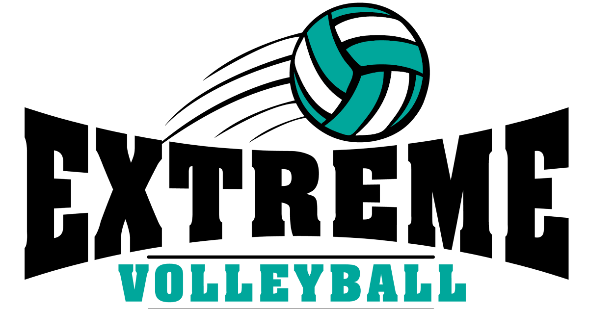 Illussion: Madfrog Volleyball Logo