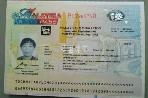 electronic visit pass malaysia