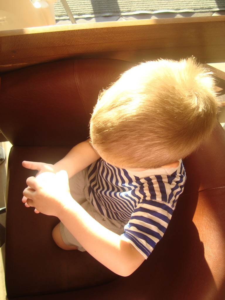 DSC00021 DSC00021